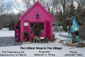 Littlest Shop in The Village